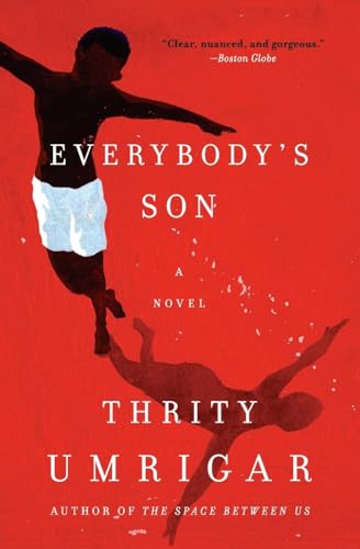 9780062442260: Everybody's Son: A Novel