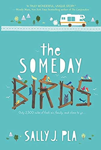 Beispielbild fr The Someday Birds zum Verkauf von AwesomeBooks