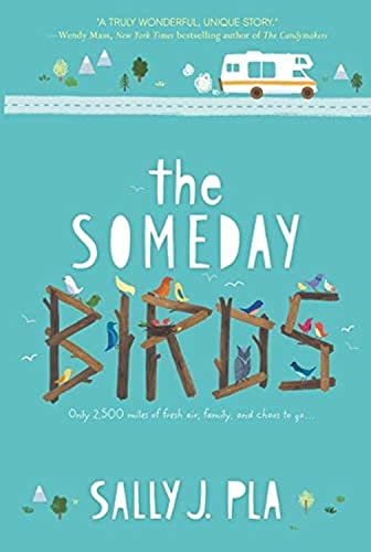 Stock image for The Someday Birds for sale by SecondSale