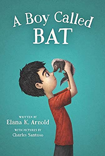 Stock image for A Boy Called Bat for sale by Blackwell's