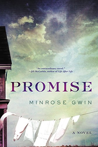Beispielbild fr Promise: A Novel zum Verkauf von Wonder Book