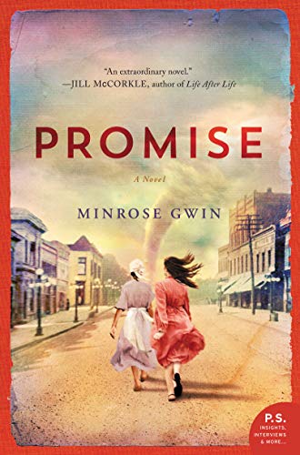 Stock image for Promise: A Novel for sale by SecondSale