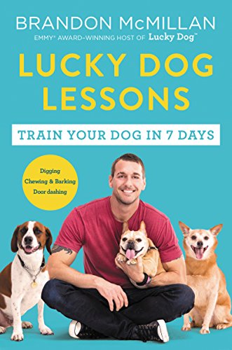 Beispielbild fr Lucky Dog Lessons: From Renowned Expert Dog Trainer and Host of Lucky Dog: Reunions zum Verkauf von Dream Books Co.