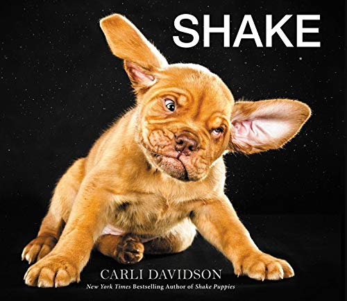 Imagen de archivo de Shake a la venta por Goodwill Books