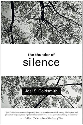 Beispielbild fr The Thunder of Silence zum Verkauf von Wonder Book