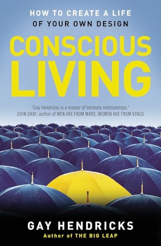 Stock image for Conscious Living: Finding Joy in the Real World for sale by SecondSale