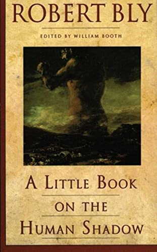 9780062548474: A Little Book on the Human Shadow