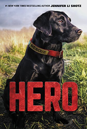 Imagen de archivo de Hero (Hero, 1) a la venta por Gulf Coast Books