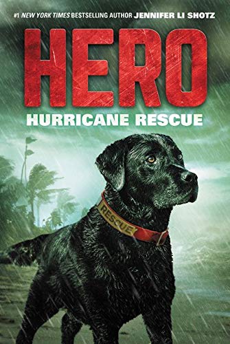 Beispielbild fr Hero: Hurricane Rescue zum Verkauf von Better World Books