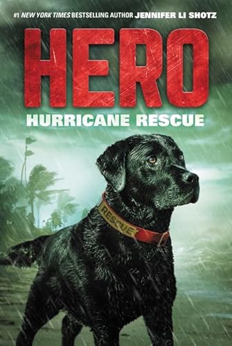 Stock image for Hero: Hurricane Rescue for sale by SecondSale