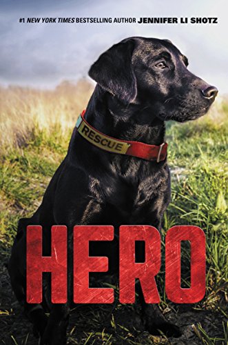 Beispielbild fr Hero (Hero, 1) zum Verkauf von Wonder Book