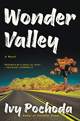 Beispielbild fr Wonder Valley : A Novel zum Verkauf von Better World Books