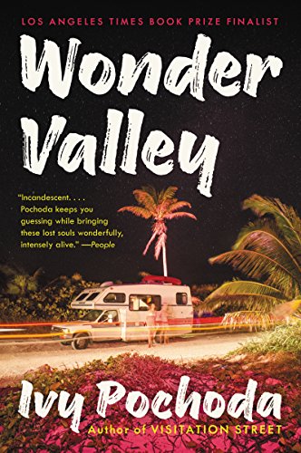 Beispielbild fr Wonder Valley: A Novel zum Verkauf von Your Online Bookstore