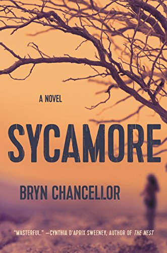 Stock image for Sycamore: A Novel for sale by More Than Words