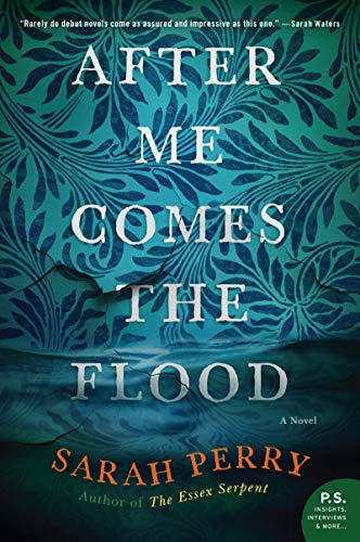 Beispielbild fr After Me Comes the Flood: A Novel zum Verkauf von SecondSale