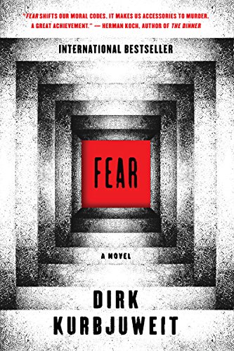 Stock image for Fear: A Novel for sale by Wonder Book