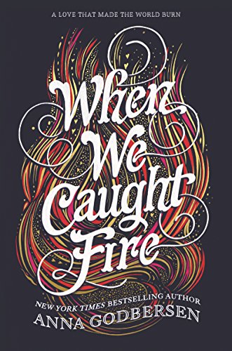 Beispielbild fr When We Caught Fire zum Verkauf von Better World Books