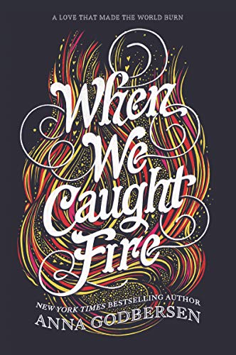 Beispielbild fr When We Caught Fire zum Verkauf von Better World Books