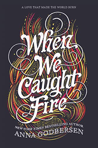 Stock image for When We Caught Fire for sale by Better World Books