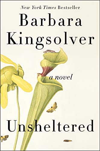 Imagen de archivo de Unsheltered: A Novel a la venta por Goodwill of Colorado