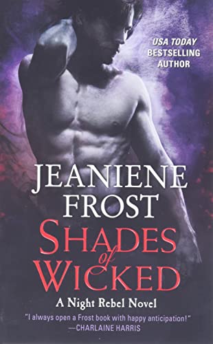 Beispielbild fr Shades of Wicked A Night Rebel zum Verkauf von SecondSale