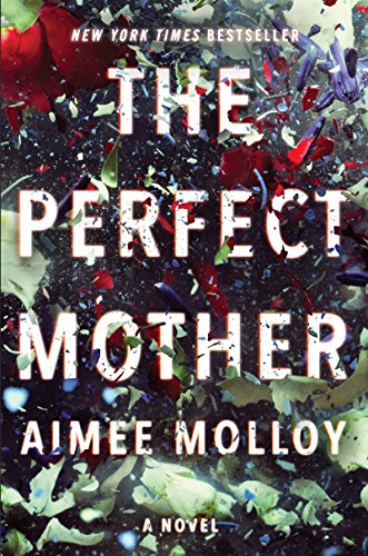 Imagen de archivo de The Perfect Mother : A Novel a la venta por Better World Books