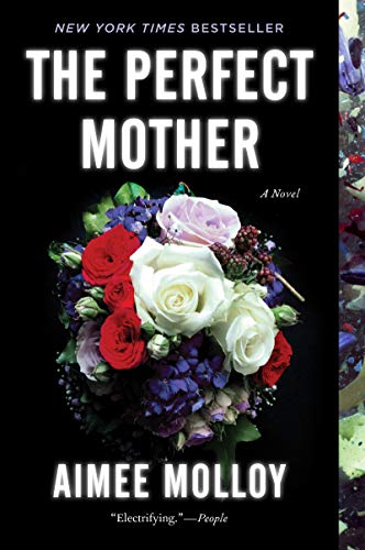 Beispielbild fr The Perfect Mother: A Novel zum Verkauf von Gulf Coast Books