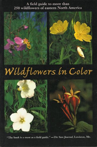 Beispielbild fr Wildflowers in Color: A Field Guide to More Than 250 Wildflowers of Eastern North America zum Verkauf von Wonder Book