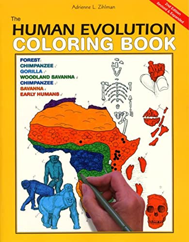 Beispielbild fr The Human Evolution Coloring Book, 2nd Edition: A Coloring Book zum Verkauf von ThriftBooks-Dallas