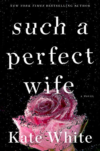 Imagen de archivo de Such a Perfect Wife: A Novel a la venta por SecondSale