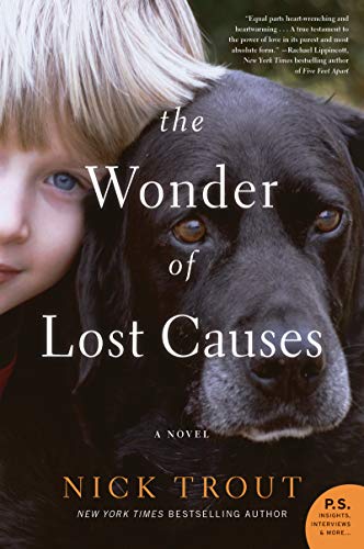 Beispielbild fr The Wonder of Lost Causes: A Novel zum Verkauf von SecondSale