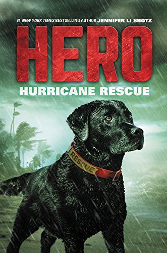 Stock image for Hurricane Rescue (Hero) for sale by SecondSale