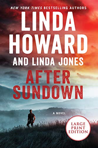 Stock image for After Sundown : A Novel for sale by Better World Books