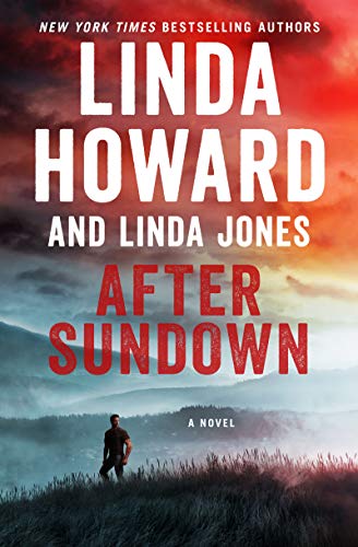 Beispielbild fr After Sundown: A Novel zum Verkauf von SecondSale