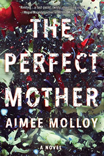 Imagen de archivo de The Perfect Mother: A Novel a la venta por Better World Books