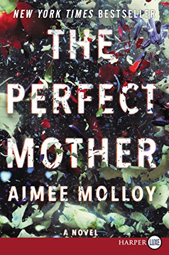 Imagen de archivo de The Perfect Mother: A Novel a la venta por Half Price Books Inc.