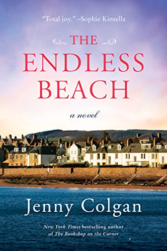 Beispielbild fr The Endless Beach A Novel zum Verkauf von SecondSale