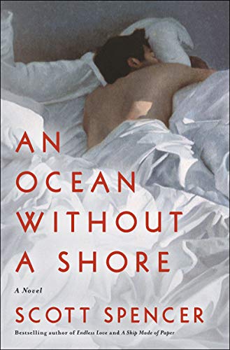 Stock image for An Ocean Without a Shore: A Novel for sale by SecondSale