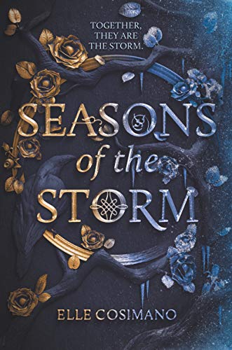 Beispielbild fr Seasons of the Storm zum Verkauf von Better World Books