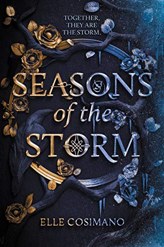 Imagen de archivo de Seasons of the Storm (Seasons of the Storm, 1) a la venta por HPB Inc.
