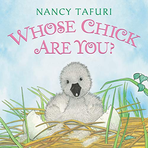 Stock image for Whose Chick Are You? Board Book for sale by SecondSale