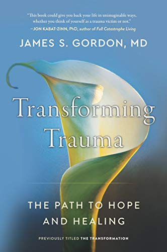 Stock image for Transforming Trauma: The Path to Hope and Healing for sale by HPB-Diamond
