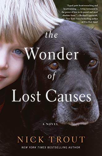 Stock image for The Wonder of Lost Causes : A Novel for sale by Better World Books