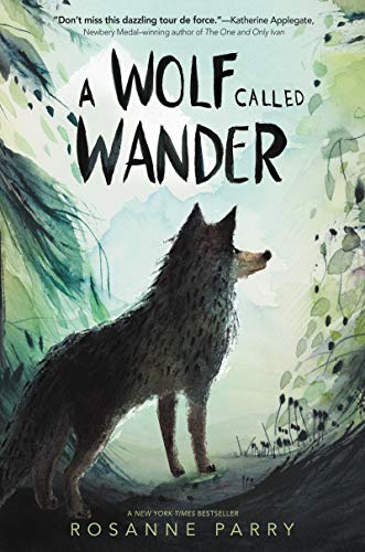 Stock image for A Wolf Called Wander (A Voice of the Wilderness Novel) for sale by Gulf Coast Books