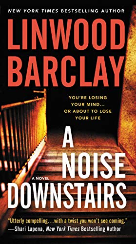 Beispielbild fr A Noise Downstairs: A Novel zum Verkauf von SecondSale