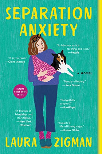 Beispielbild fr Separation Anxiety: A Novel zum Verkauf von More Than Words