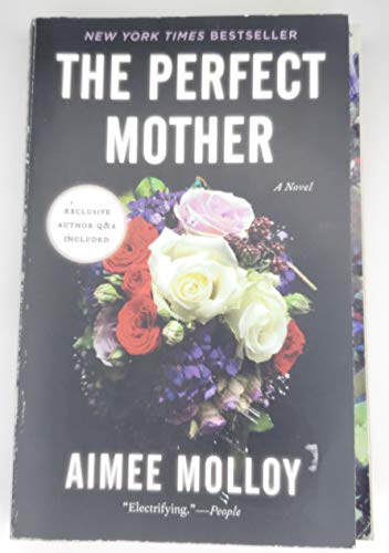 Imagen de archivo de The Perfect Mother a la venta por Wonder Book