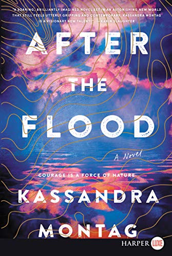 9780062911575: After The Flood [Large Print]
