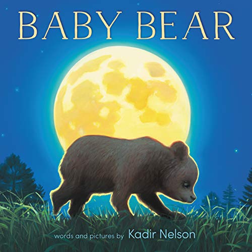 Beispielbild fr Baby Bear Board Book zum Verkauf von Ergodebooks