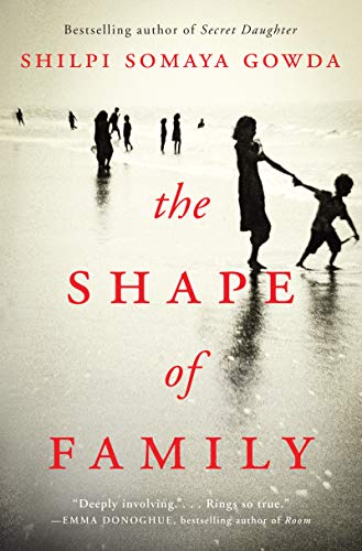 Beispielbild fr The Shape of Family: A Novel zum Verkauf von Wonder Book